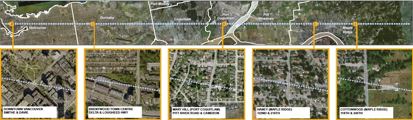 transect.jpg