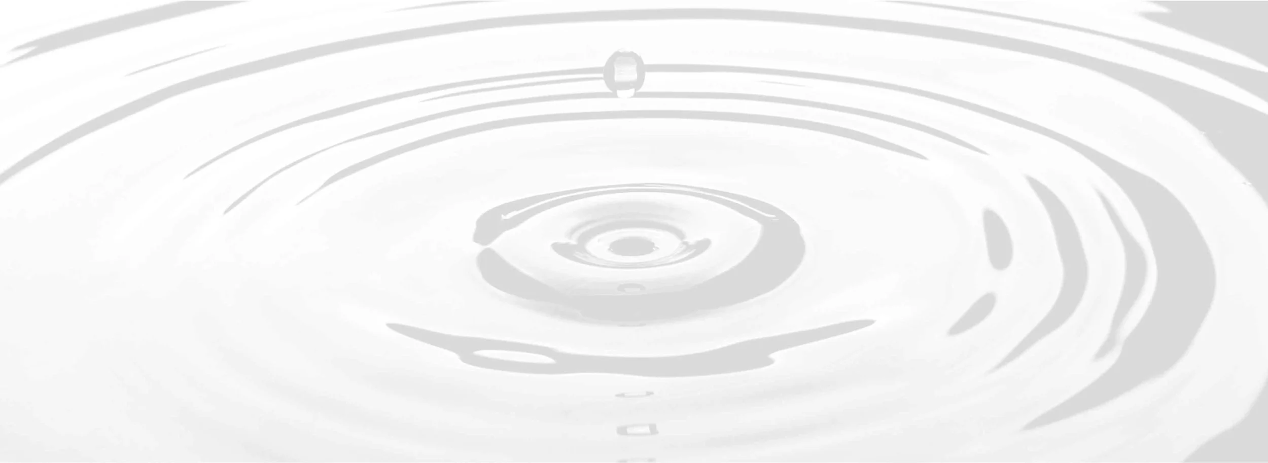 pwp-about-purpose-section-1-banner.jpg