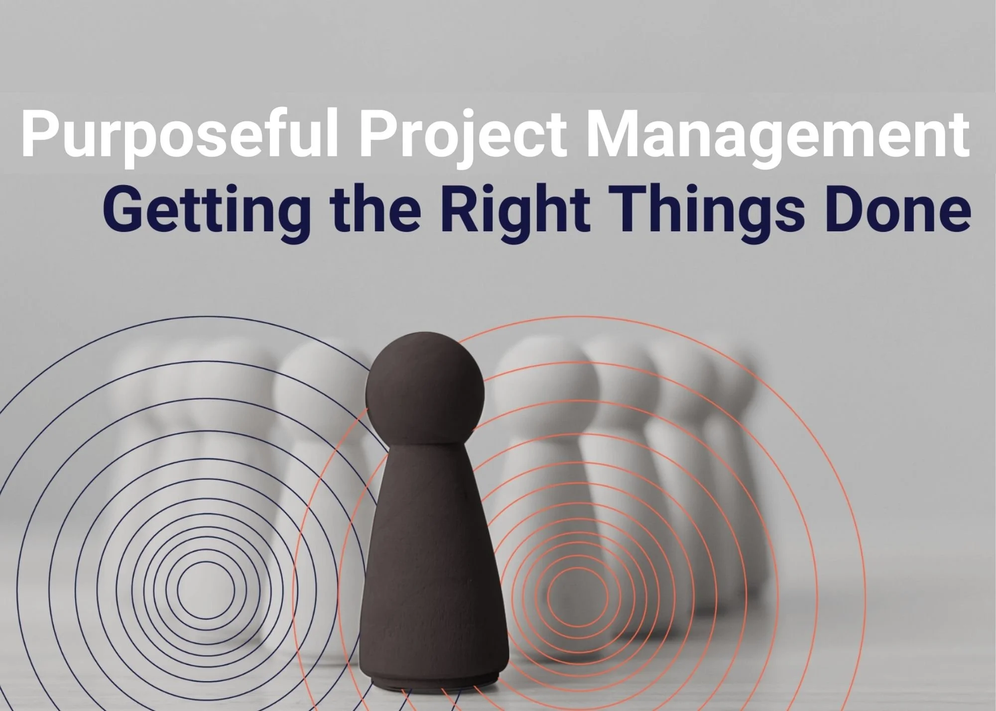 Purposeful Project Management:  Getting the Right Things Done