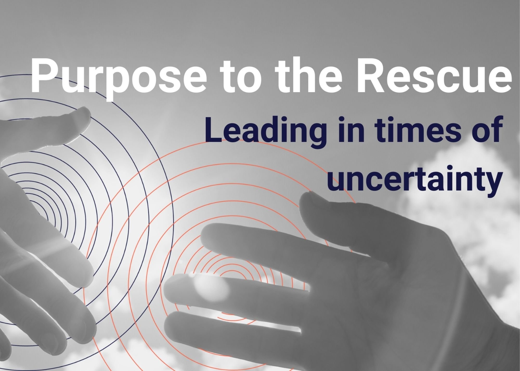 Purpose to the Rescue: Leading in Times of Uncertainty