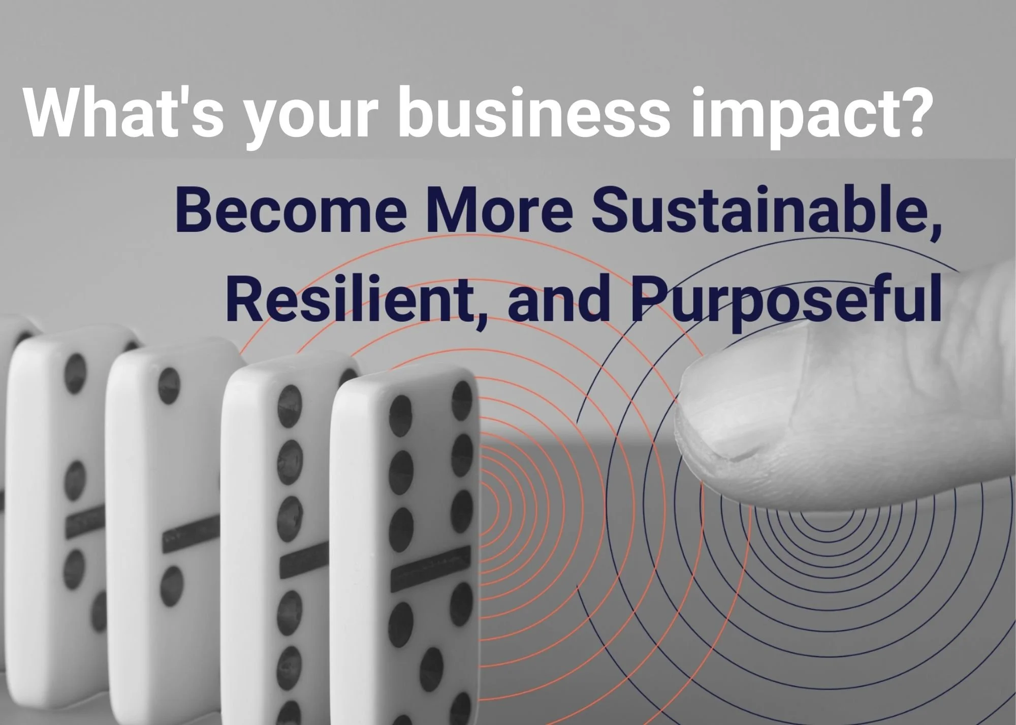 What's Your Business Impact? Become More Sustainable, Resilient and Purposeful