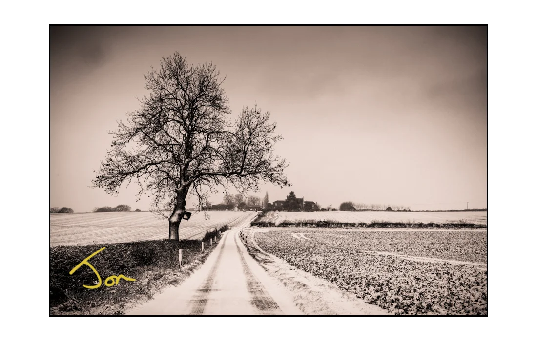 Swancar Farm Winter Wedding
