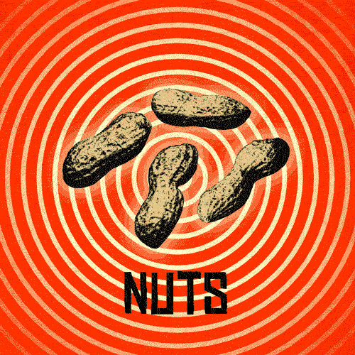 MAE_gif_nuts.gif
