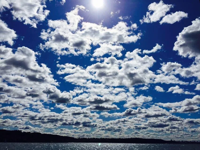 Picture by Furo Allison: Iron Cove Bay in Sydney's Inner West