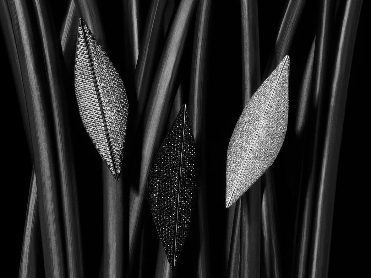 LYNN BAN 6-2small.jpg