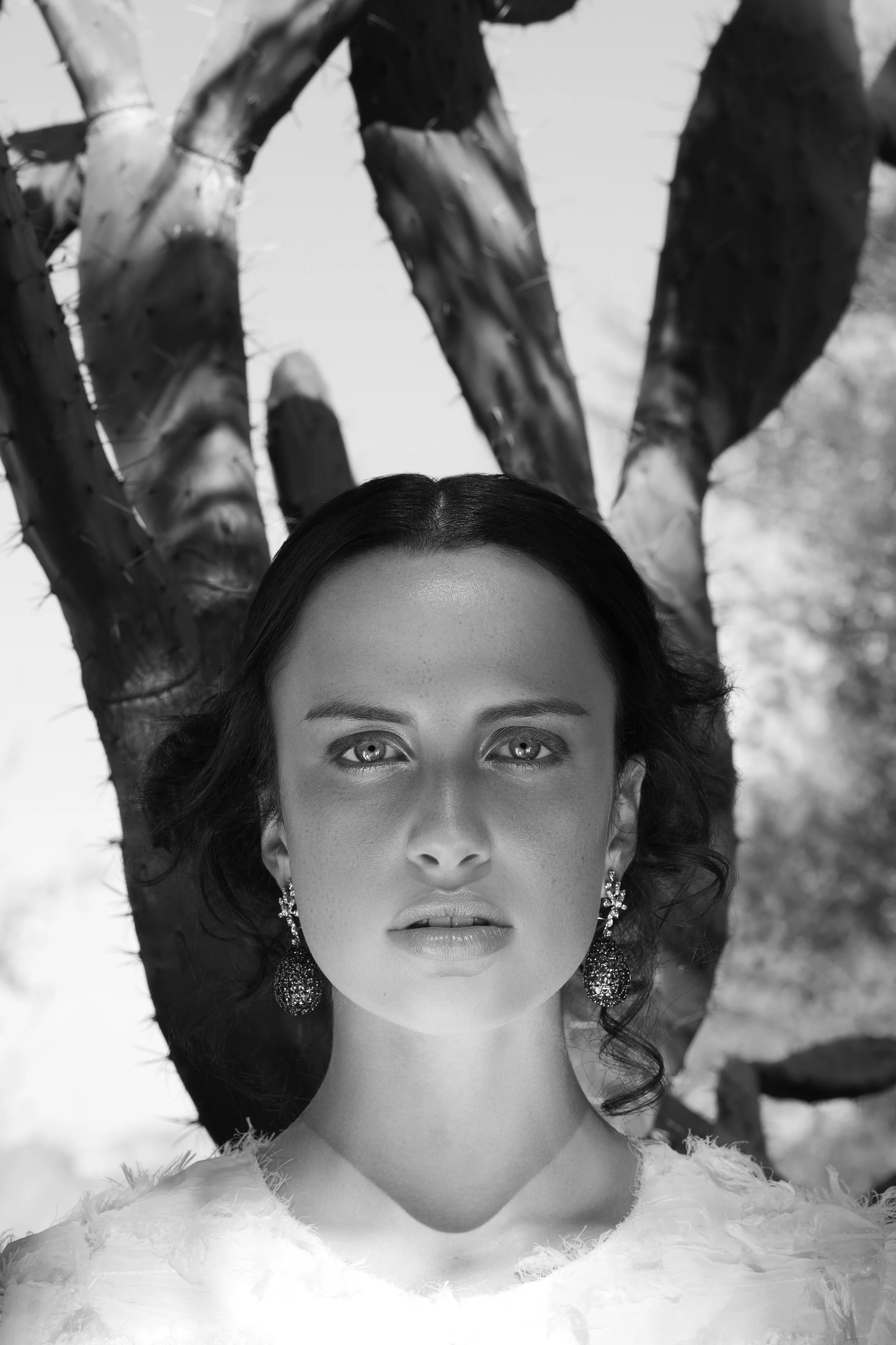 4J7A1538-bw.jpg