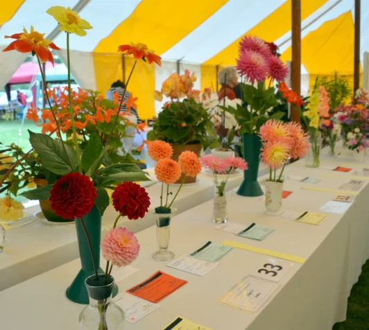 Picture courtesy of Iwerne Minster Produce and Horticultural Association’s Summer Show.