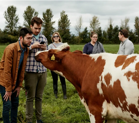 Cheese tours.jpg