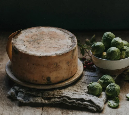 Cheese and sprouts