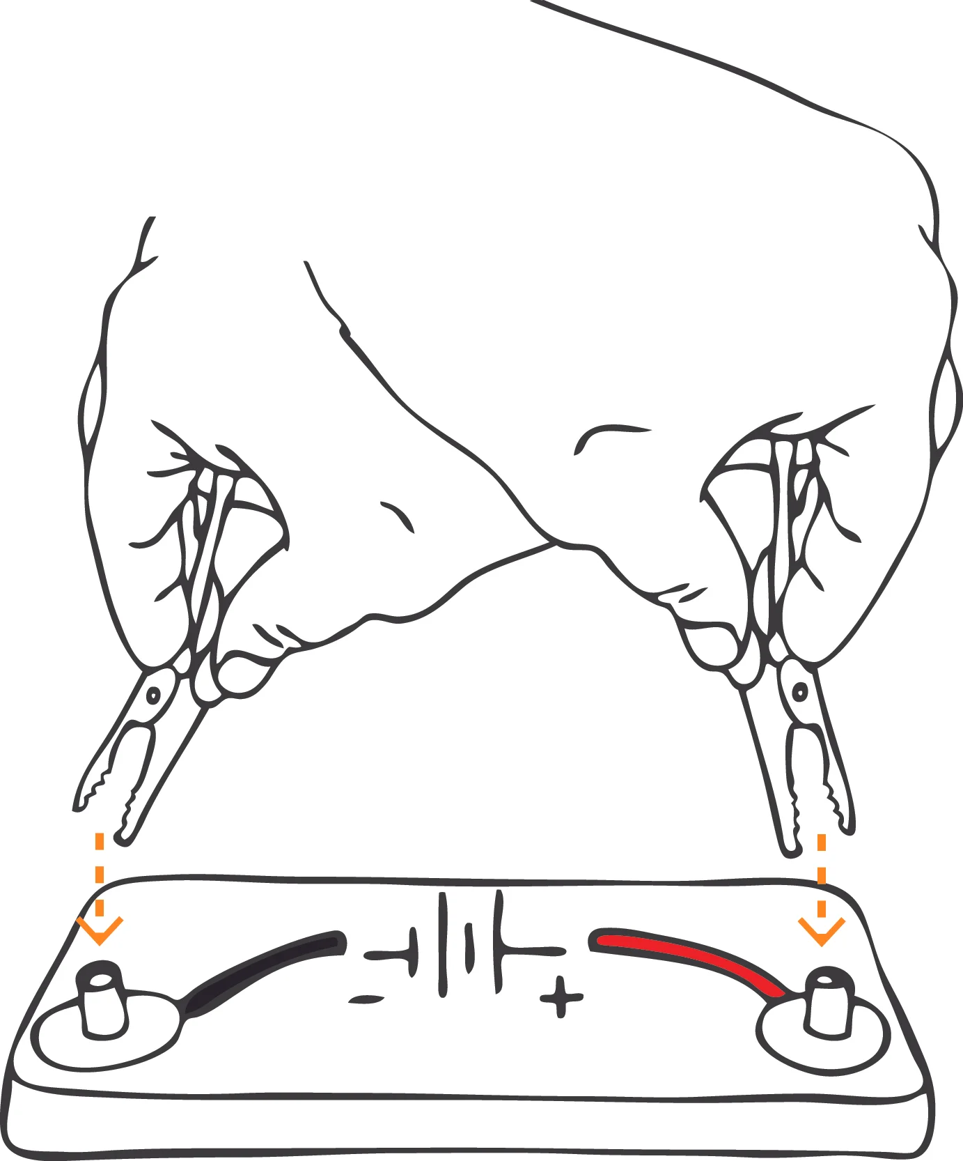 polarity change step three.jpg