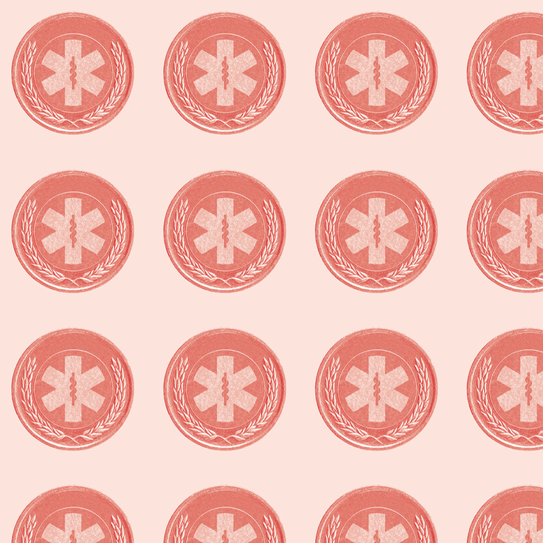 SNLA 3 Copy.png
