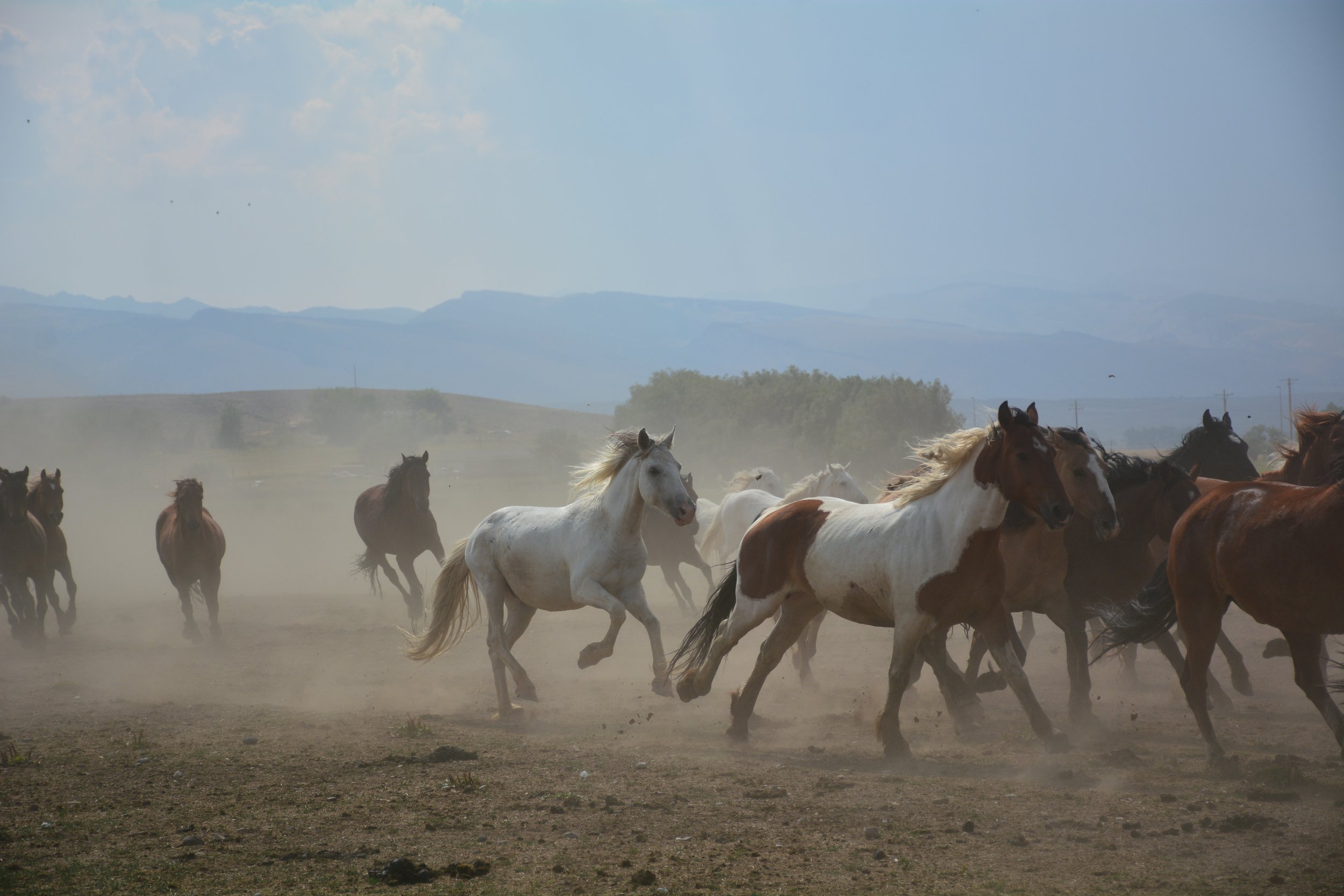 DSC_4077.JPG
