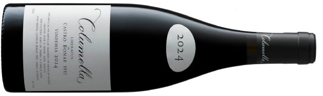 Columella 2024.jpg