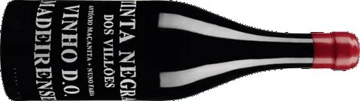 Companhia dos Profetas e Villões Tinta Negra dos Villões 2024.jpg