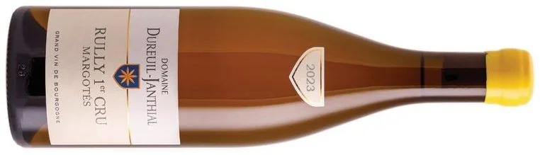 Rully Premier Cru 'Les Margotes', Dureuil-Janthial, Burgundy, France 2023.jpg