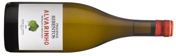 Alvarinho 'Pequenos Rebentos', Marcio Lopes 2023.jpg