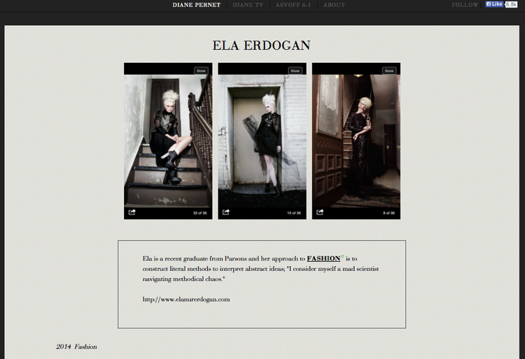 ASVOFF FEATURE BY DIANE PERNET