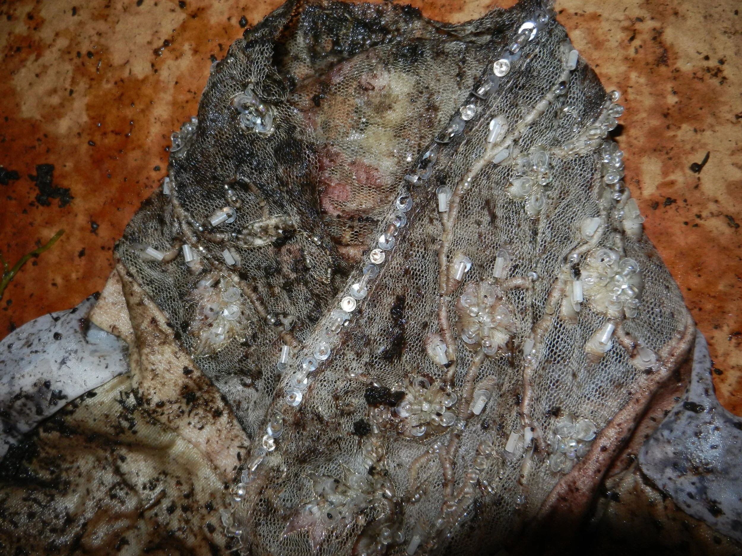 DSCN4319.jpg