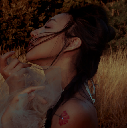 Screen Shot 2018-10-16 at 11.23.23 PM.png