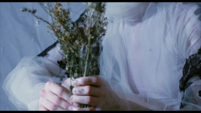 DOBS NY Presents Persephone