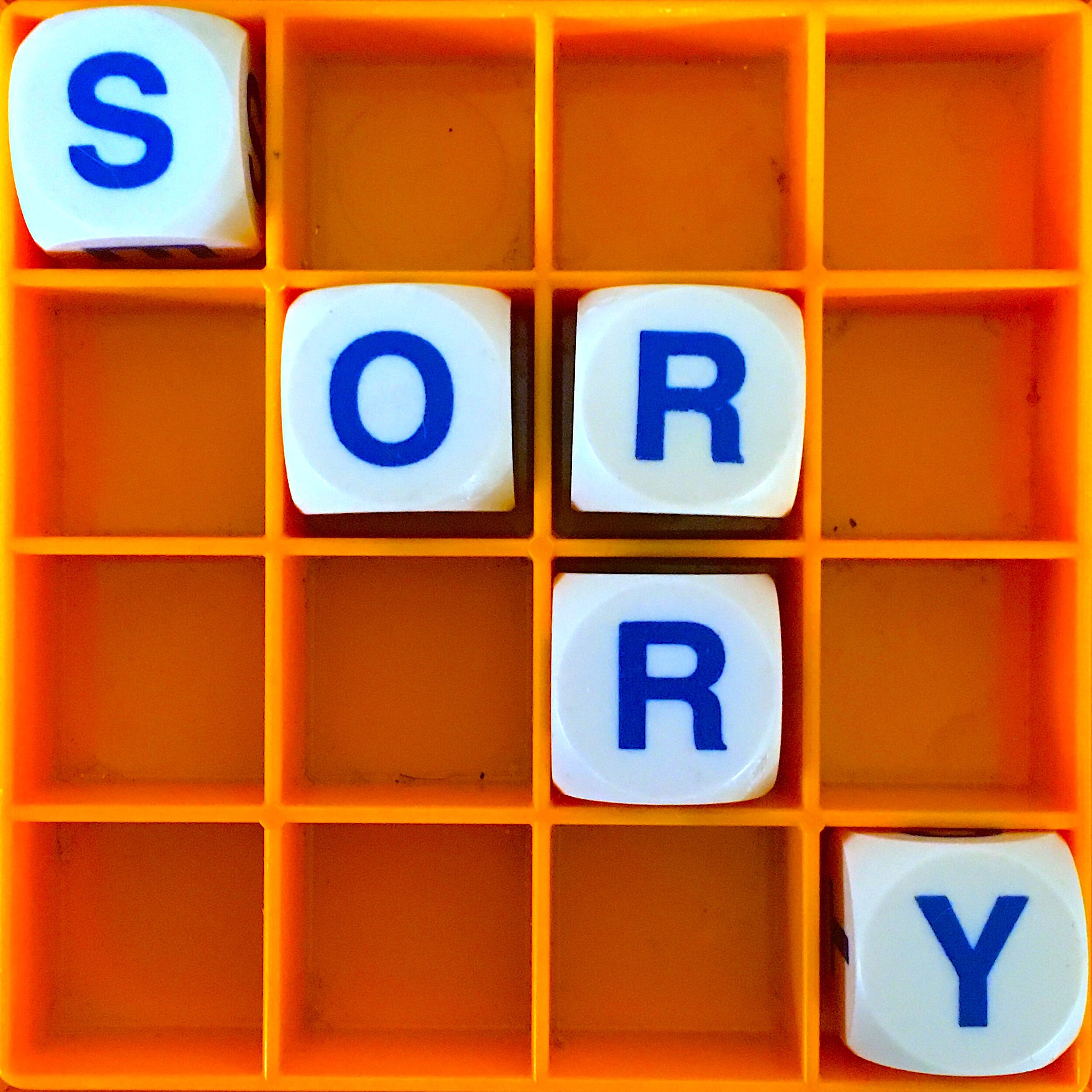 Allusionist 129 Sorry The Allusionist Allusionist 129 Sorry The Allusionist