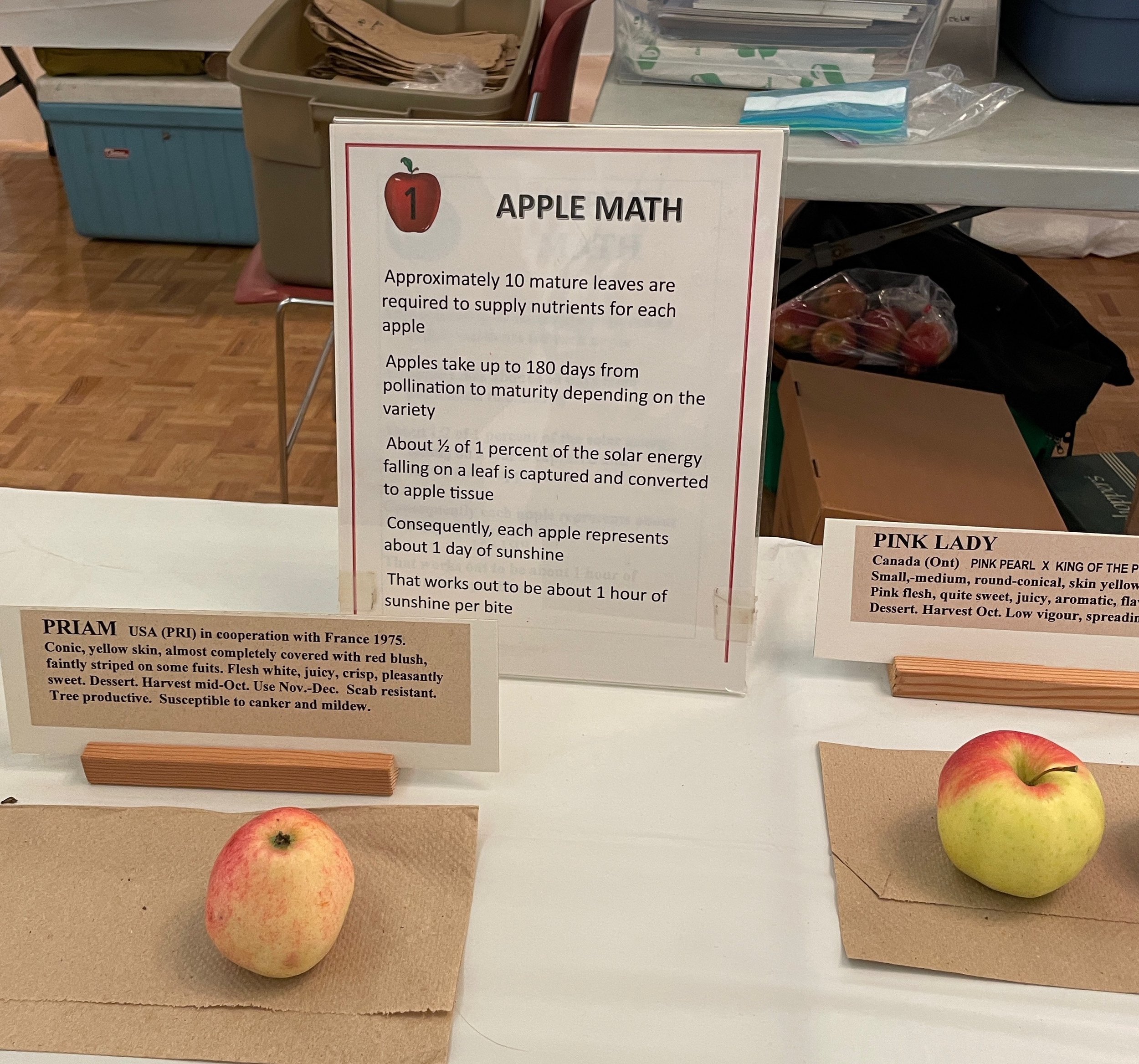Applefest 2023 apple math.jpeg