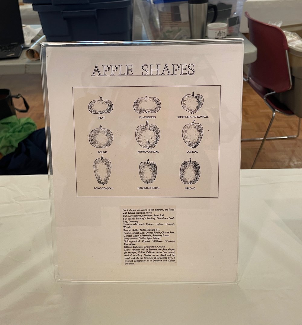 apple shapes, there are nine 