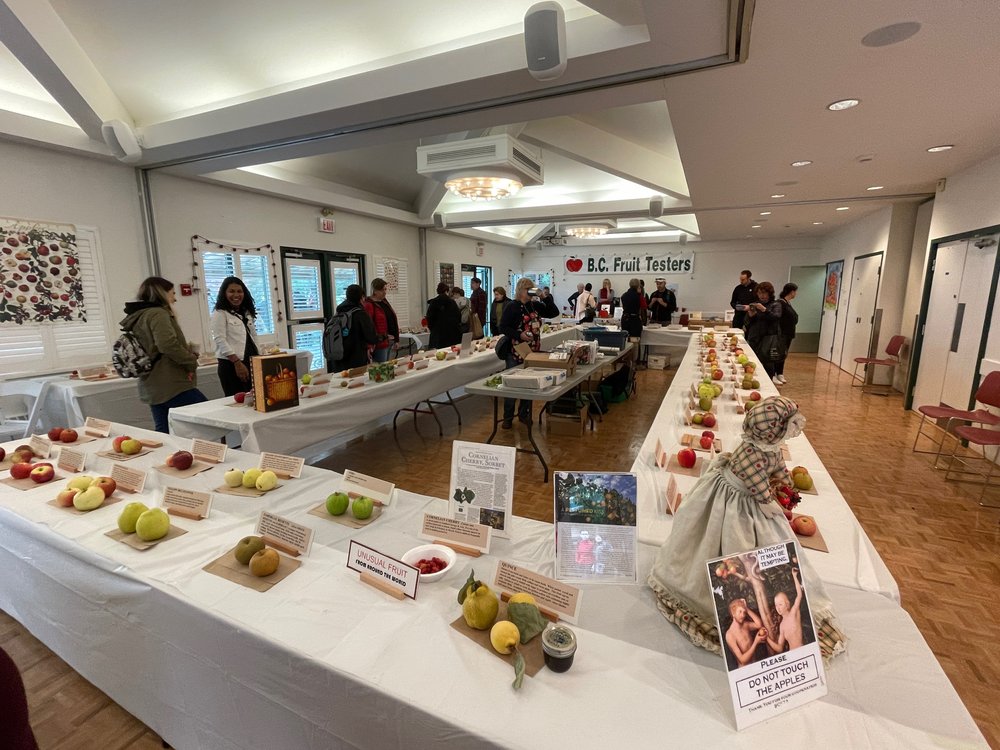  this is the aforementioned Best Apple Display in Canada, with tables holding rows of different fancy apples - look don’t touch and definitely don’t eat 