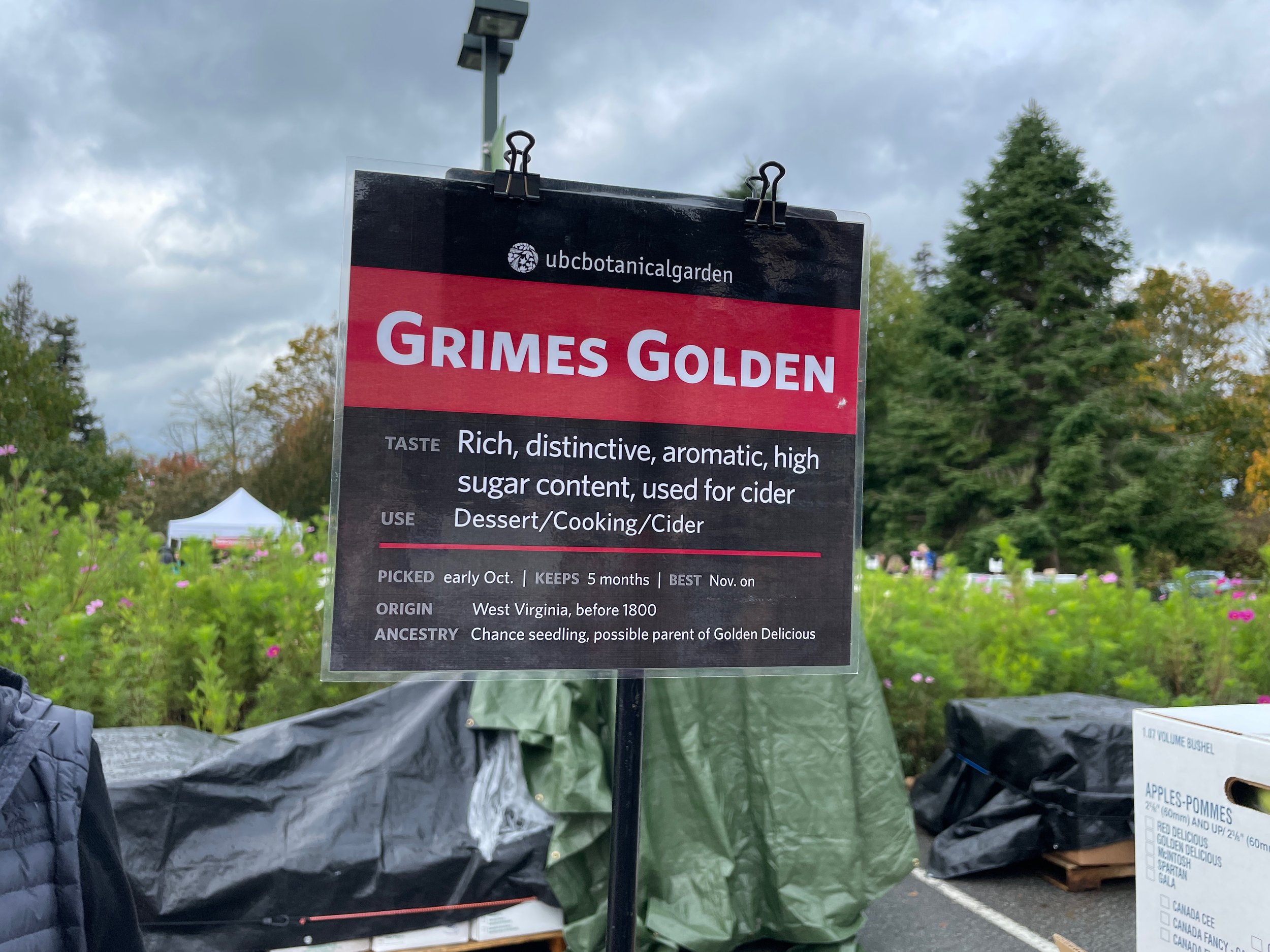 Applefest 2023 grimes golden sign.jpeg