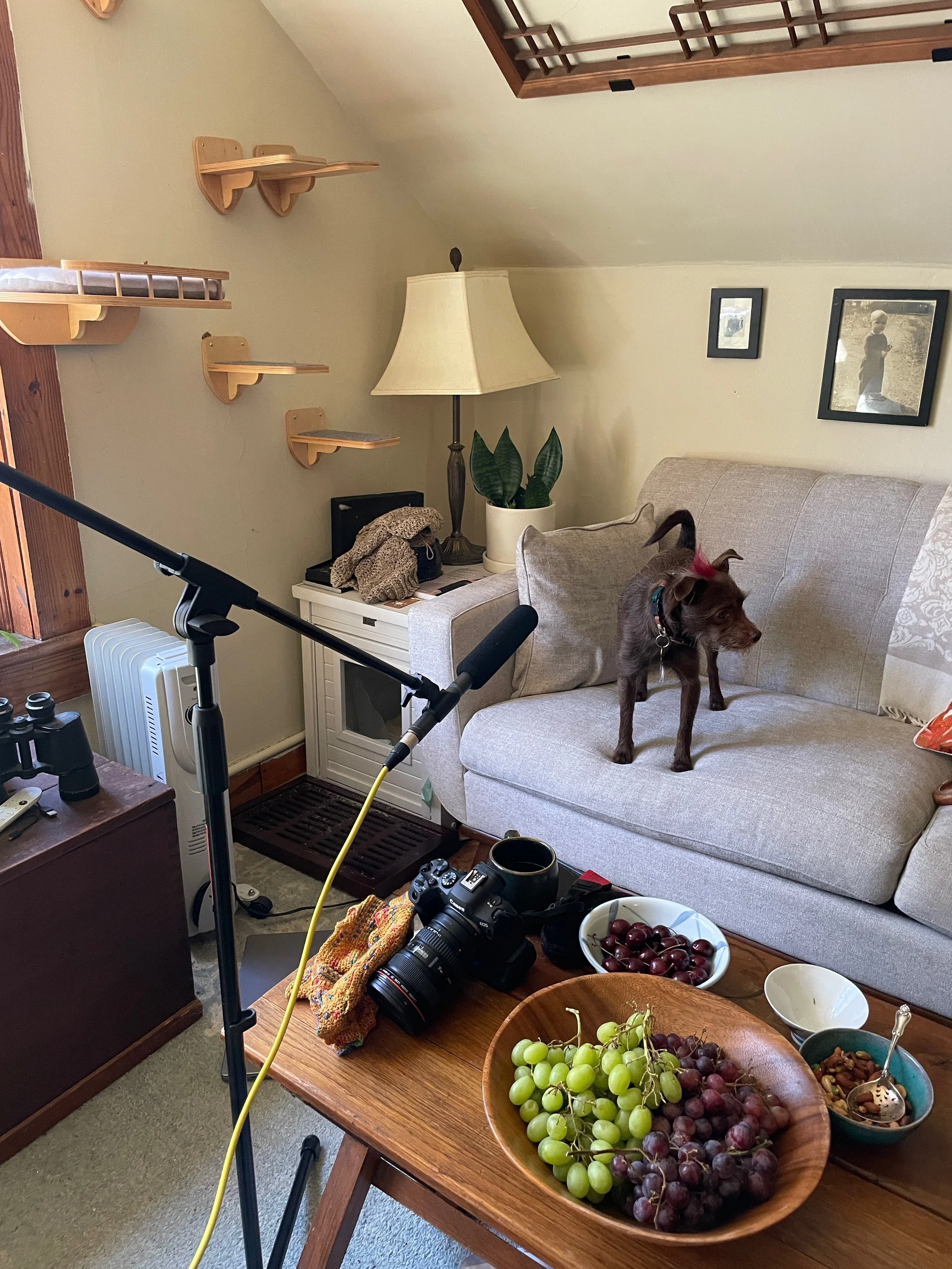 Bastian looks away from the mic. 