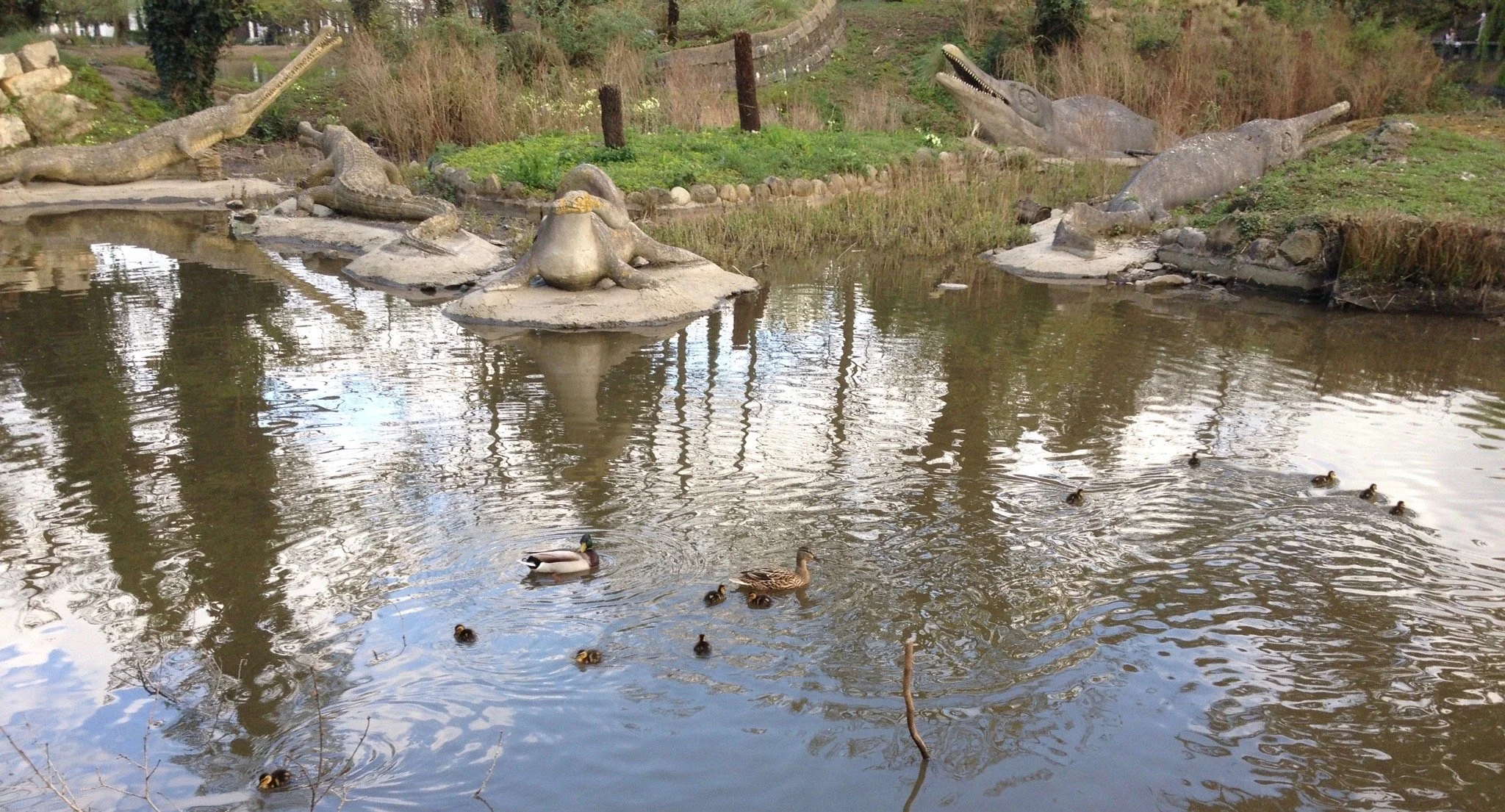  some of the Crystal Palace dinosaurs - plesiosaurs, ichthyosaurs and a couple of teleosaurs - arranged on an island in a small lake. The dinosaurs look like they are made of cement, and some have lichen and moss growing on them.&nbsp; Some of their 