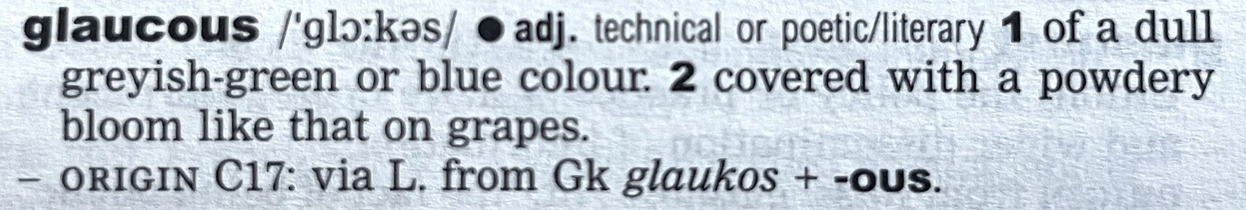 the dictionary entry for glaucous, adjective, technical or poetic/literary: 1. of a dull greyish-green or blue colour. 2 covered with a powdery bloom like that on grapes.  Origin 17th century: via Latin from Greek glaukos + -ous.