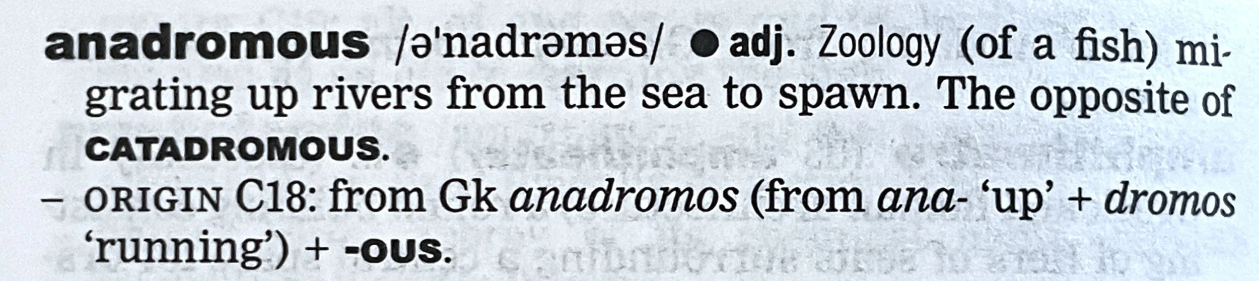 the dictionary definition of anadromous, adjective, zoology: (of a fish) migrating up rivers from the sea to spawn. The opposite of ‘catadromous’. - Origin 18th century: from Greek anadromos (from ana- 'up' + dromos 'running’) + -ous.
