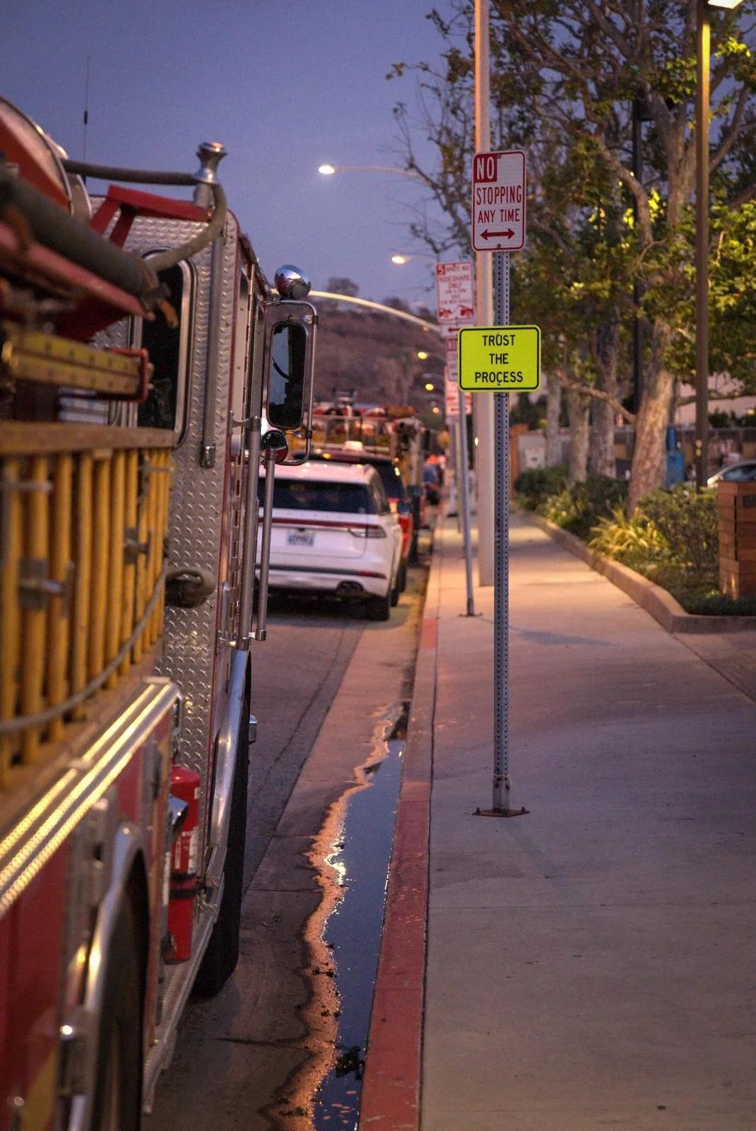 Trust The Process, (PDA mini)_3.jpeg