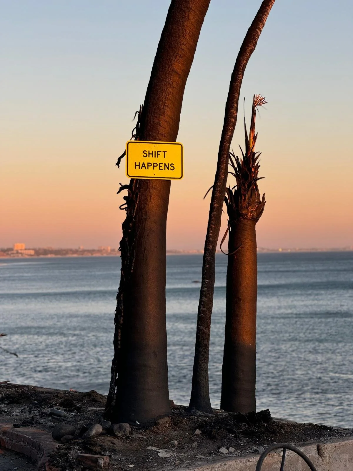 Shift Happens_PDA_2.jpeg