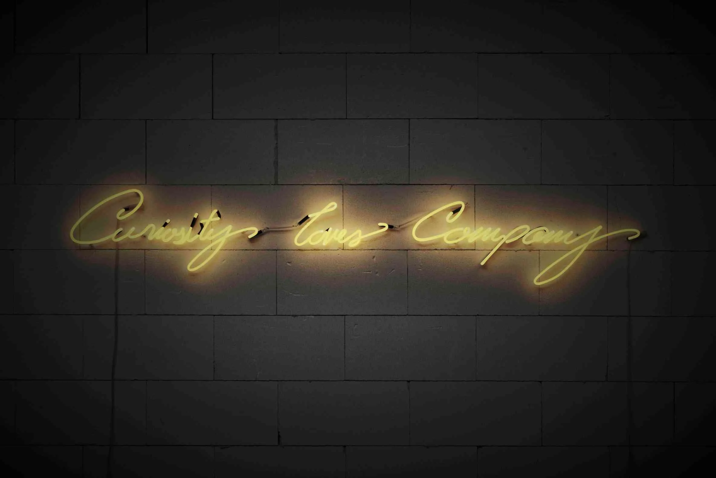 CURIOSITY LOVES COMPANY (BLANKET)