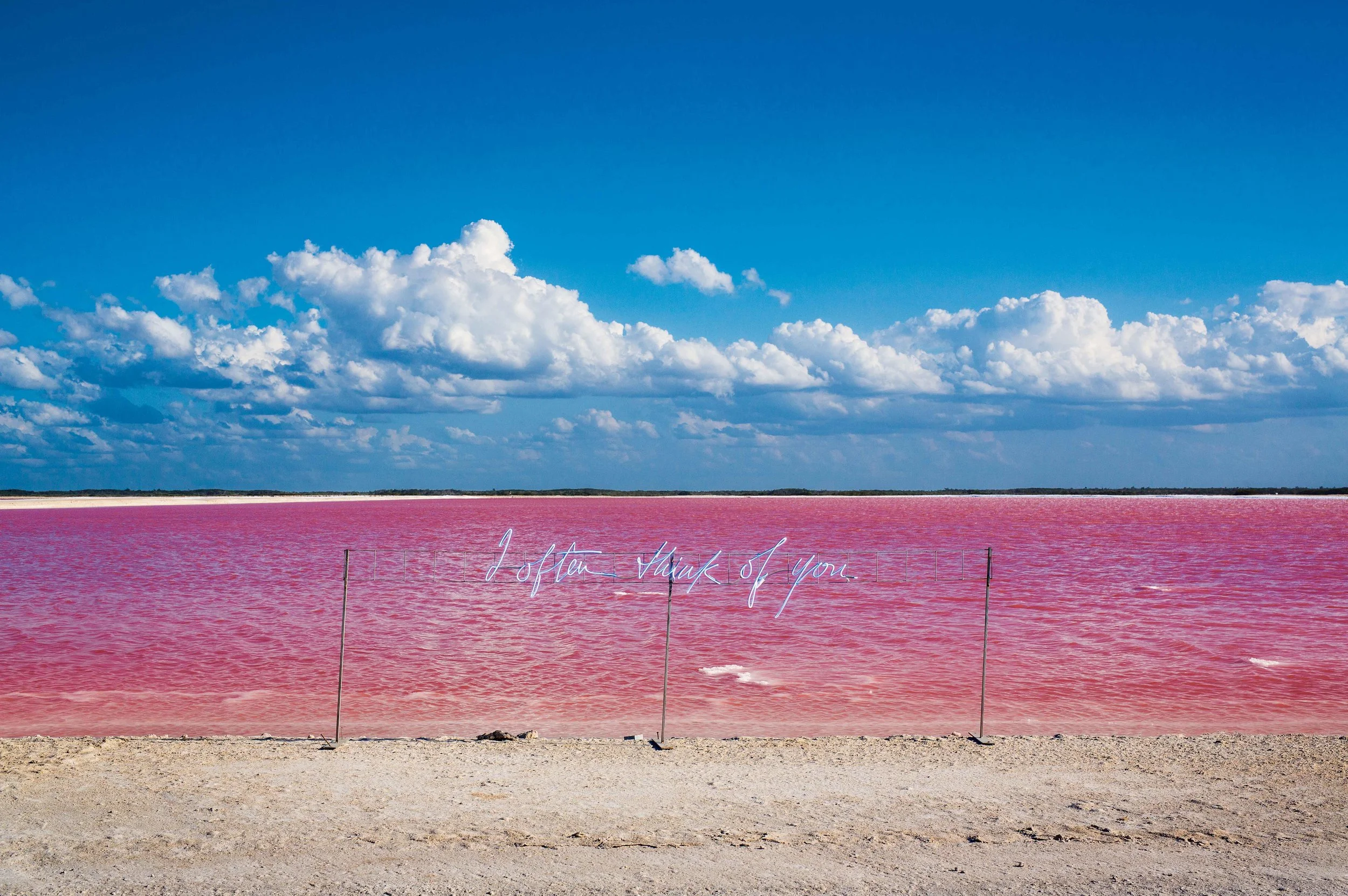 I-Often-Think-Of-You_Pink-Lagoon_APS_50-x-75_high-res_2017_WEB.jpg