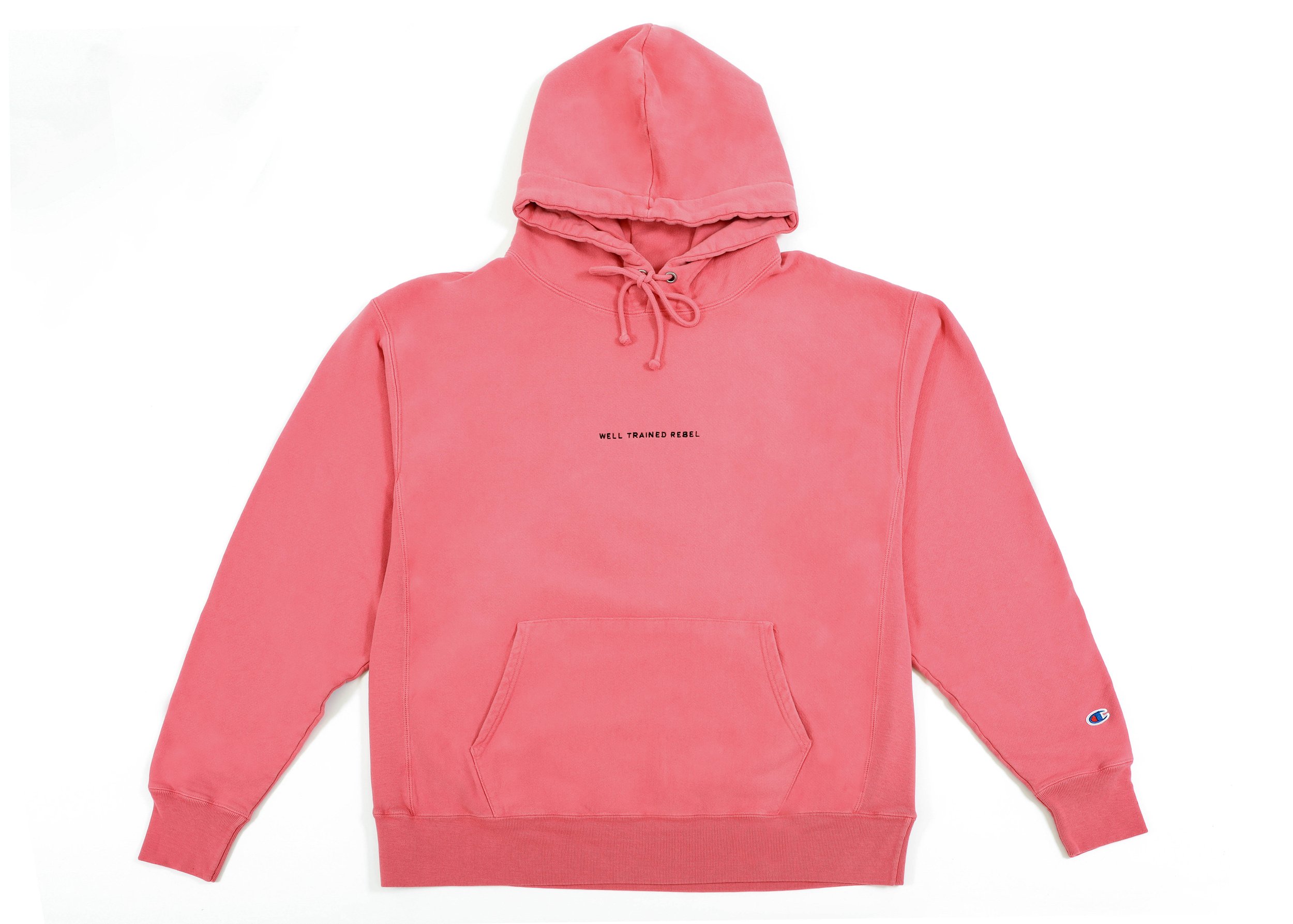 Hoodie Embroidery (coral)_Well Trained Rebel, Embrace the Mystery, LA 2022_HIGH RES_01.jpg
