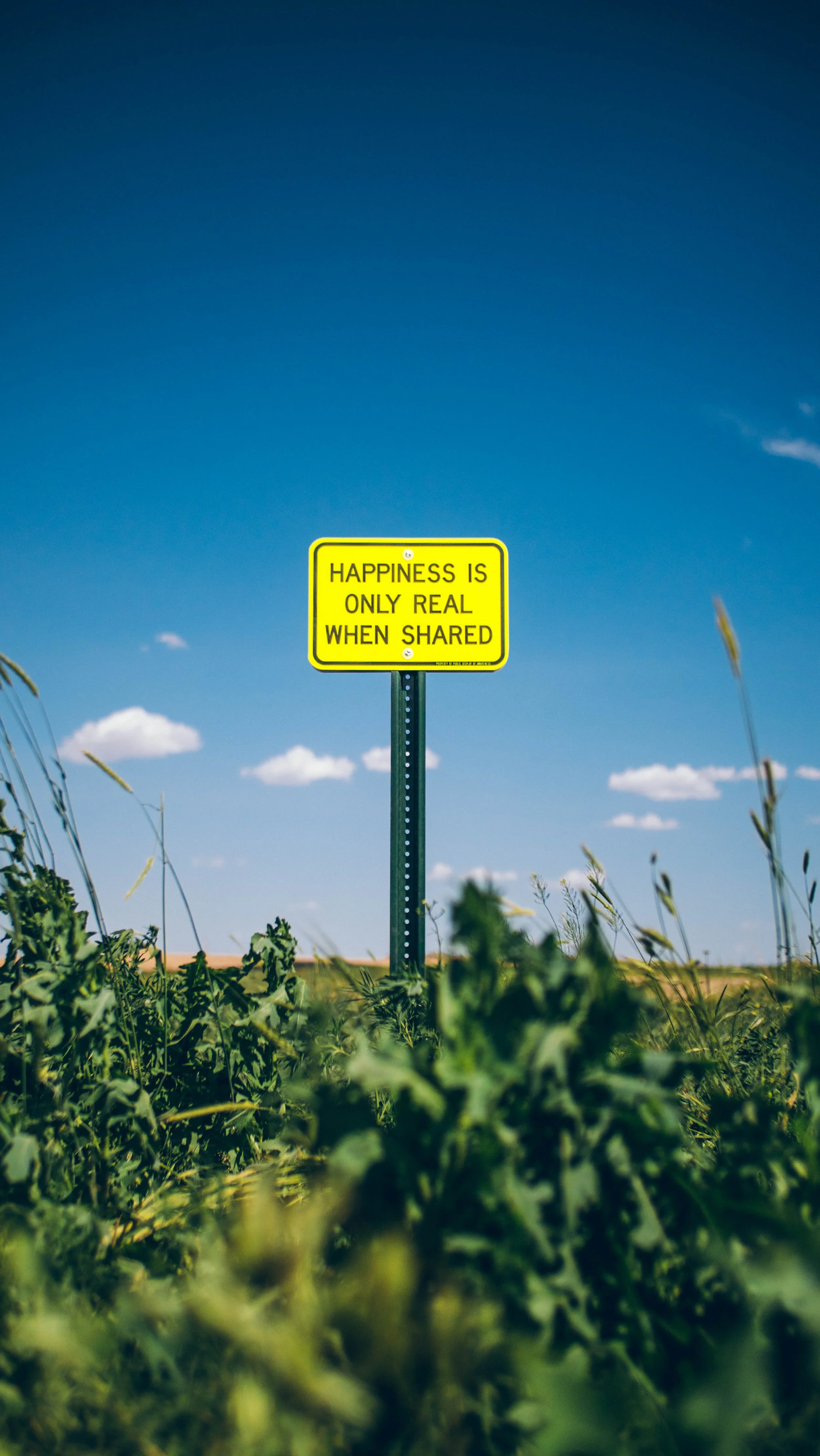 Happiness Is Only Real When Shared (Mini PDA Road Sign Yellow)_ TAH, Denver, CO_June 2022_by @bernardvanweydeveldt_WEB RES_P1299224.jpg