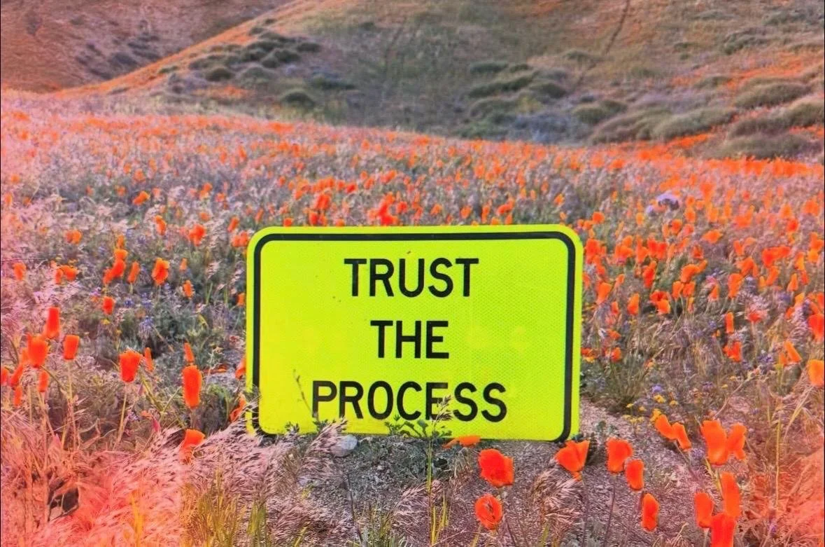 Trust The Process, (PDA mini)_1.jpeg