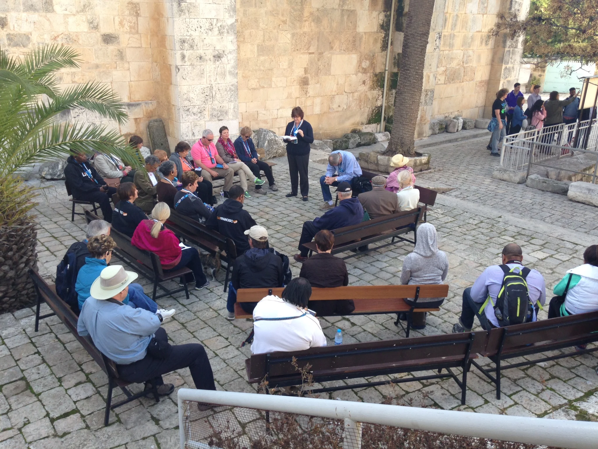 Holy Land Group Videos January 2015