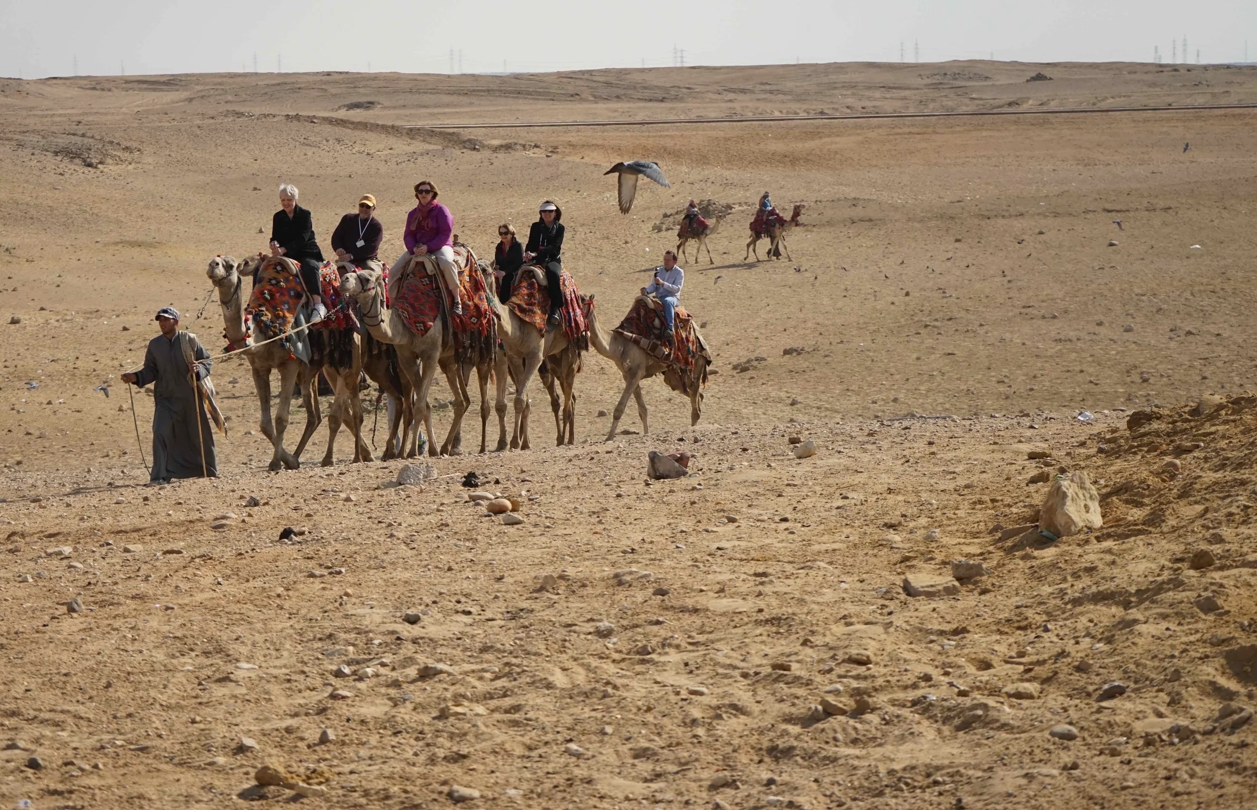 Egypt Testimonies | March 2015