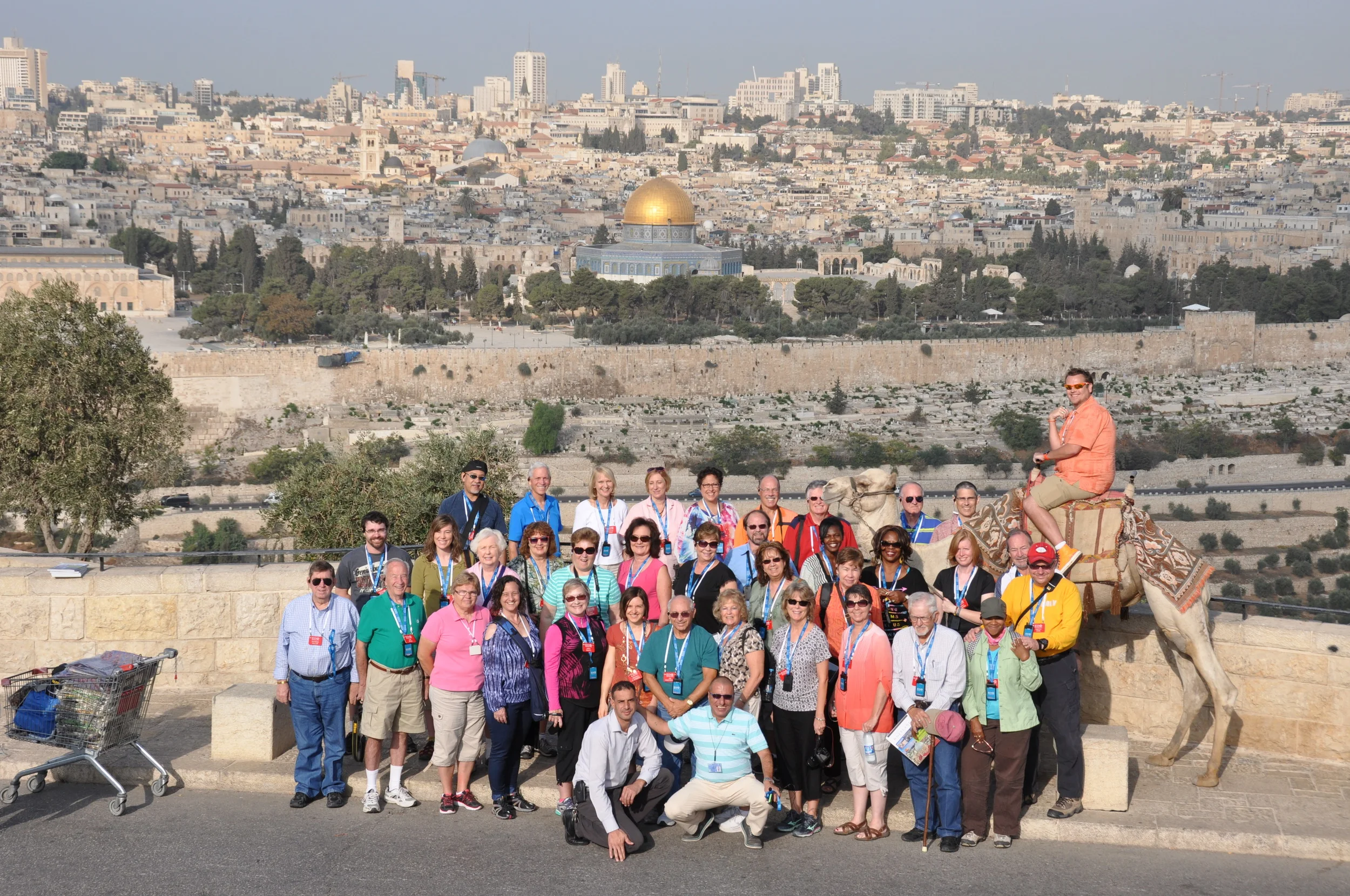 Camel Rides & the Mount of Olives Experience 