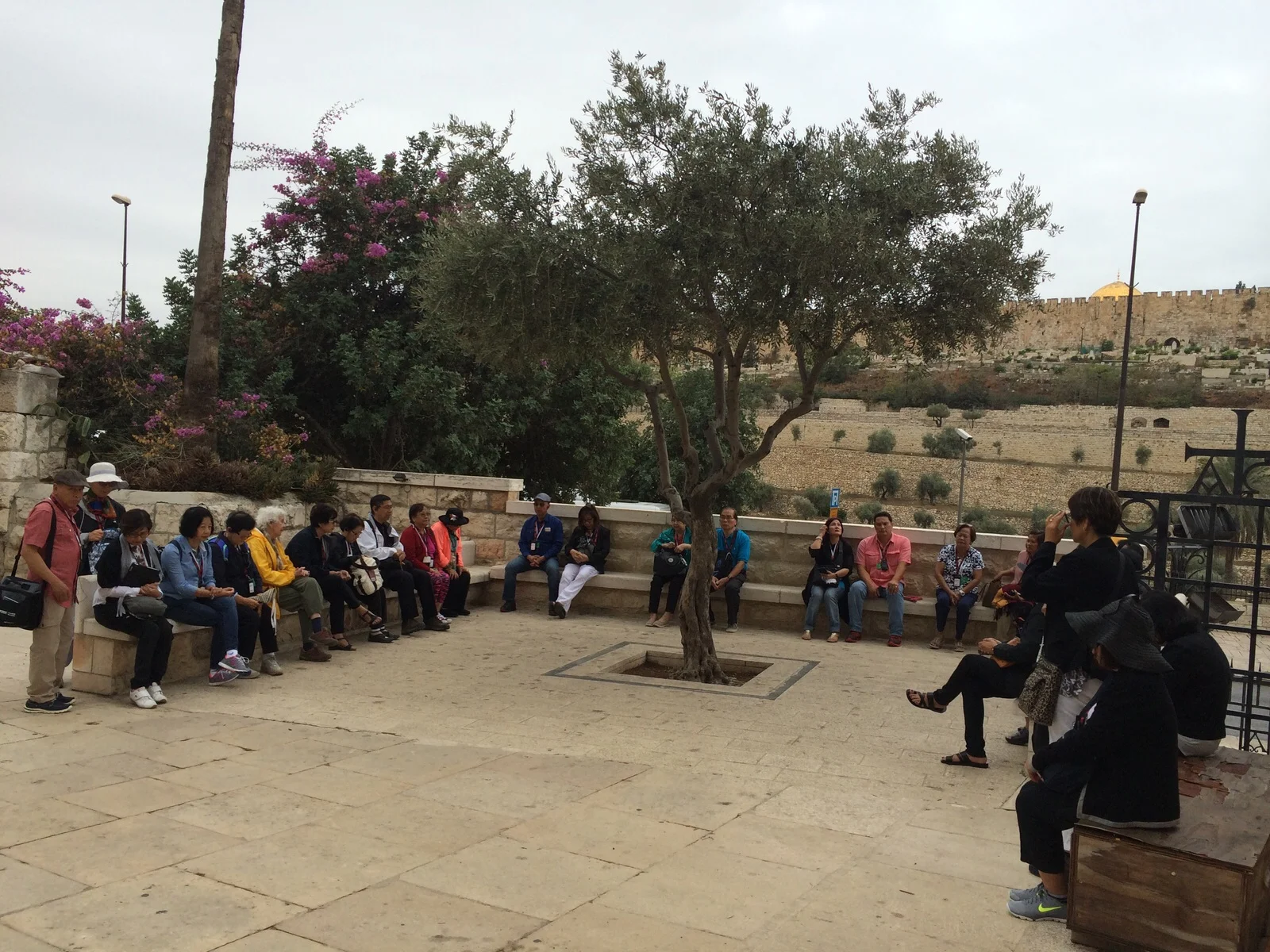 Temple Mount Experience 