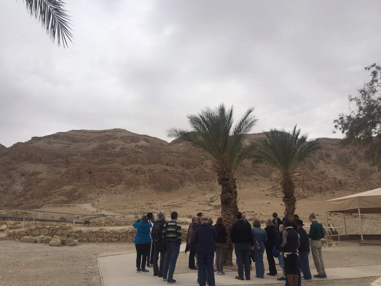 Jericho & Qumran Views 