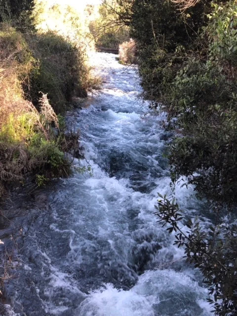 image1-14.jpeg