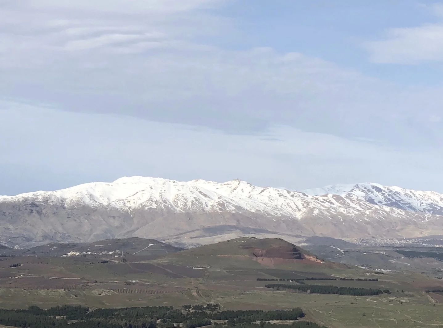 image1-12.jpeg