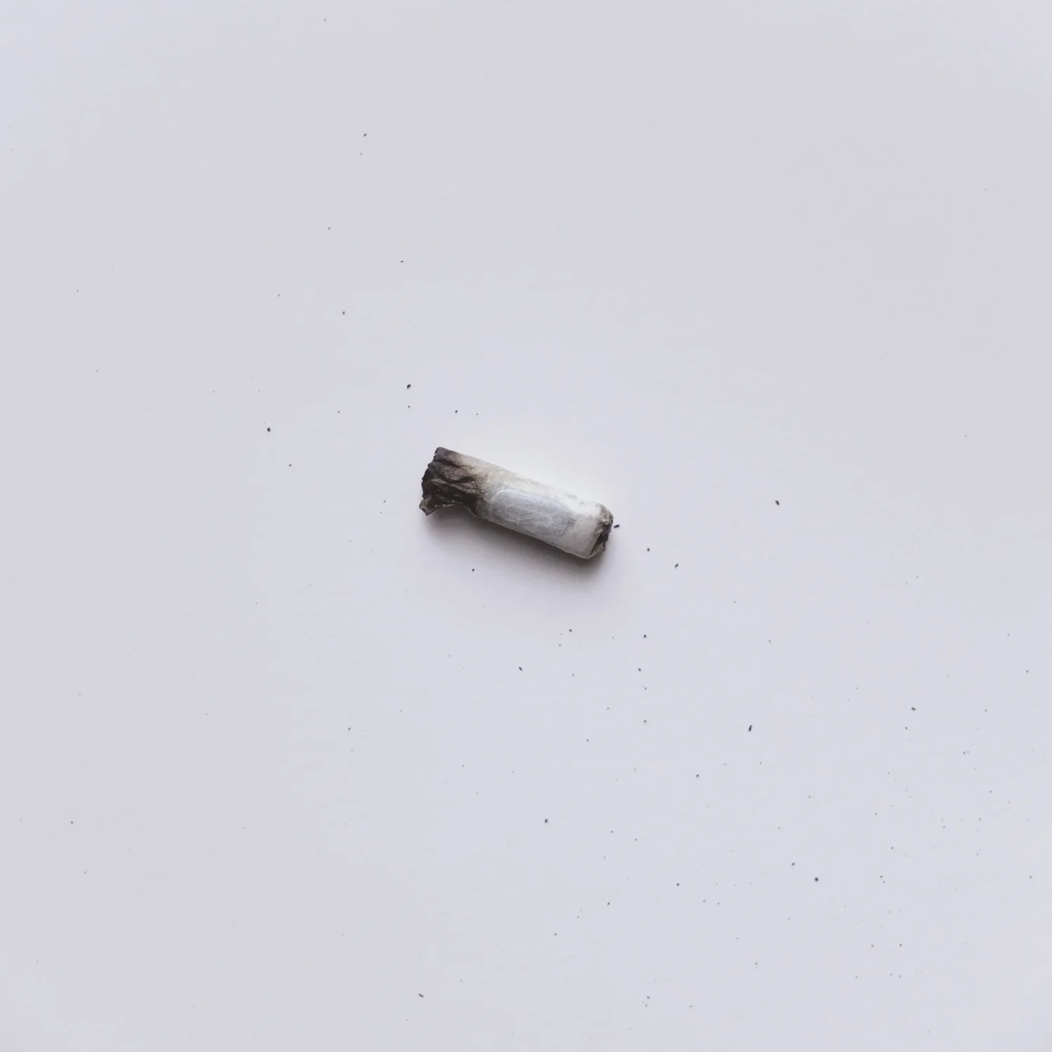 roach_dust.jpg
