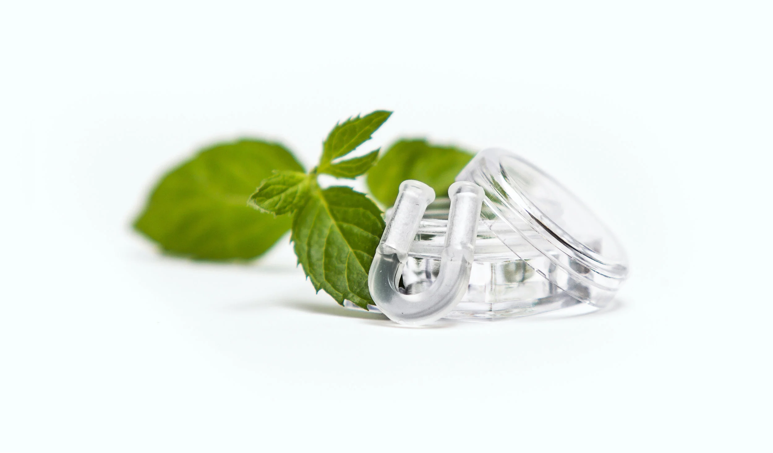 20151127-_MG_1197_1_front Kopie.jpg