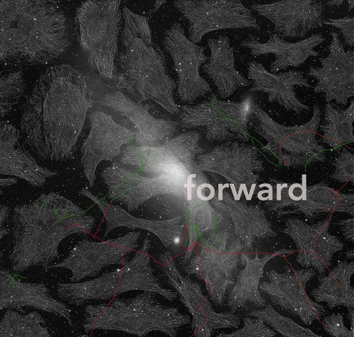 Sonya Dyer, Forward (2018). Digital image. Image courtesy of the artist